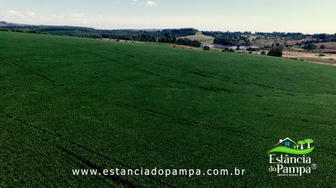 INICIO 3.00_02_06_27.Quadro018_462375fa8a0feb5e5b44a50ad0841a62211c4882.jpg